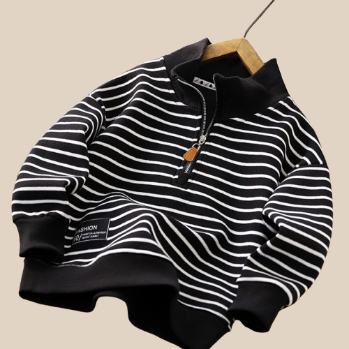 Pull avec Col a Zippe