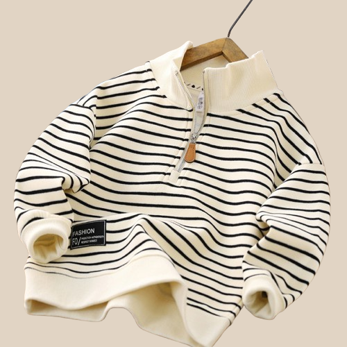 Pull avec Col a Zippe