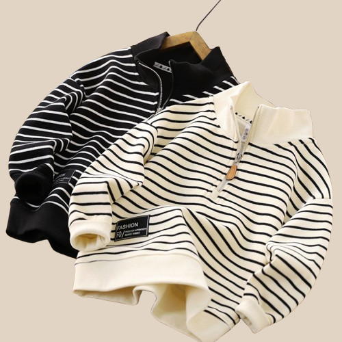 Pull avec Col a Zippe